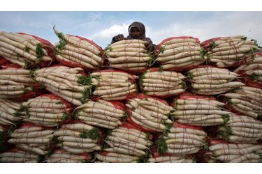 Un fermier vend des radis blancs dans un marché de Jammu, en Inde. Dans le pays, l’inflation des prix de la nourriture a augmenté pour la cinquième semaine consécutive, jusqu’à atteindre 18,3%.