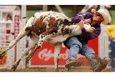 L&#039;as du rodéo Cody Cassidy lutte pour attraper une vache par les cornes, pendant le &quot;Steer Wrestling&quot; de Calgary, dans la province canadienne de l&#039;Alberta, le 11 juillet 2010.