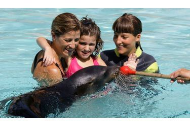 Une otarie nommée Néron nage aux côtés d’une petite fille atteinte d&#039;un trouble neurologique et de deux thérapeutes dans le Parc Safari de Rio dans la ville orientale espagnole d&#039;Elche.