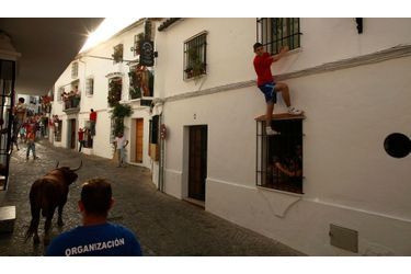 Des personnes s’accrochent aux barreaux de fenêtres pour éviter un taureau durant la &quot;Toro de Cuerda&quot;, le festival annuel de la ville de Grazalema, au sud de l&#039;Espagne. Le taureau, retenu par une corde, est amené à circuler dans les rues.