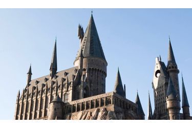 Un monde dédié à Harry Potter est en création dans le célèbre parc d&#039;attractions Universal Resort d&#039;Orlando en Floride. La construction de Poudlard est quasiment terminé.