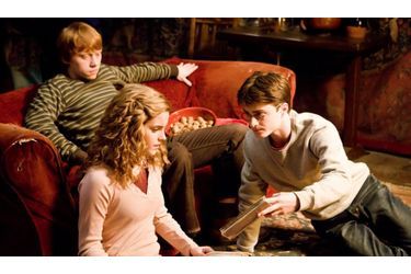 Les Moldus sont en effervescence. Mercredi prochain sortira le sixième volet cinématographique des aventures du célèbre sorcier en baguette courte, «Harry Potter et le Prince de sang-mêlé»...