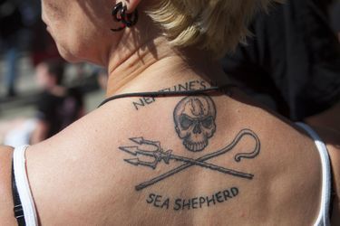 Le logo de l&#039;ONG Sea Shepherd.