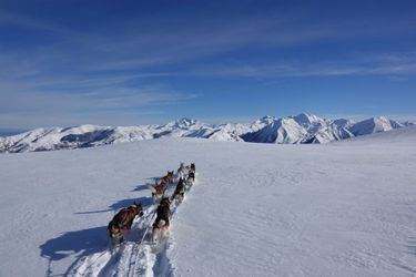 Les chiens de traîneau de Romain dans la neige