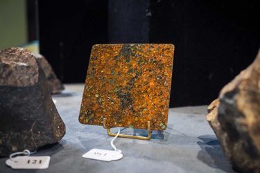 Quelques pièces de la collection de météorites de Gérard Merlier