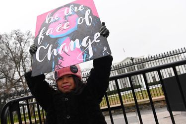 La «marche des femmes» à Washington, le 19 janvier 2019.