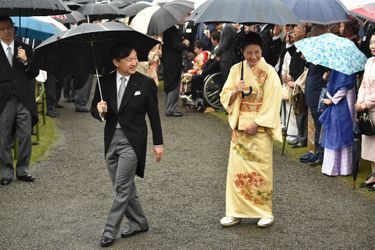 Le prince Naruhito du Japon et la princesse Masako à Tokyo, le 9 novembre 2018