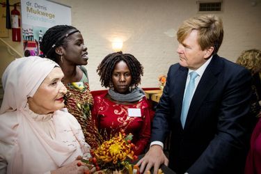 Le roi Willem-Alexander des Pays-Bas à La Haye, le 28 novembre 2018
