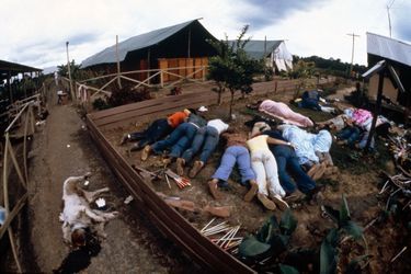 Jonestown, au lendemain du suicide collectif. Même les chiens ont été tués. 