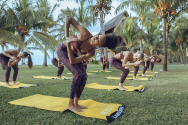 Cours de yoga sous les palmiers pour les candidates du concours Miss France 