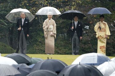 L'empereur Akihito du Japon, l'impératrice Michiko, le prince Naruhito et la princesse Masako à Tokyo, le 9 novembre 2018