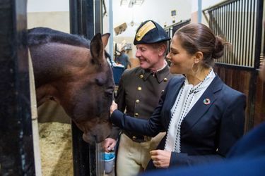 La princesse Victoria de Suède à Vienne, le 28 novembre 2018