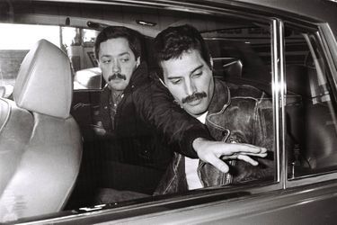 Freddie Mercury en 1980