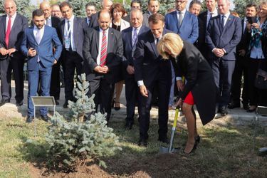 Brigitte Macron, pelle en main, plante un arbre au mémorial de Tsitsernakaberd, sur une colline d'Erevan.