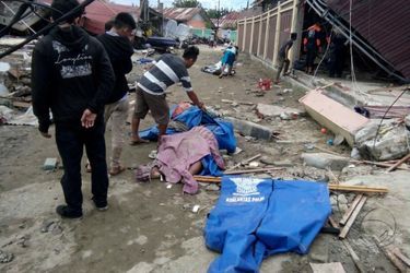 L&#039;île des Célèbes, en Indonésie, a été frappée par un tsunami après un puissant séisme.