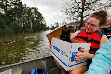 Un femme tient son chat Jackjack dans une barque, au milieu des inondations à Leland.