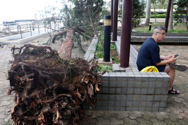 Le typhon Mangkhut a semé le chaos à Hong Kong