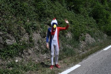 Un coq aux couleurs de la France attend les coureurs lors de l&#039;étape entre Albertville et La Rosiere, le 18 juillet. 