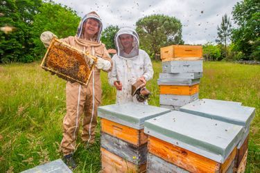 En juin dernier à Pontenx-les-Forges, avec l’apiculteur Thomas Mollet, partenaire de la Seraf, la Société d’élevage et de repeuplement des abeilles de France créée en janvier 2018 par Arnaud Montebourg.