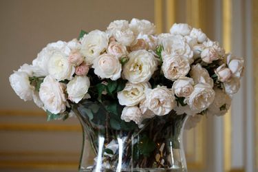 Les roses &quot;Princesse Astrid de Belgique&quot; à Bruxelles, le 9 juillet 2018 
