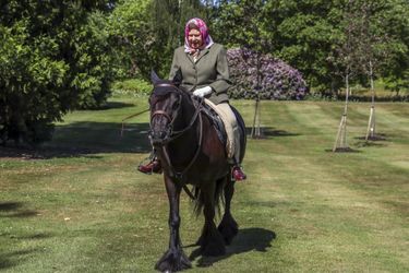 La reine Elizabeth II se promène sur le dos de son poney Balmoral Fern au château de Windsor le 31 mai 2020