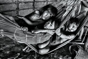 A cause des épidémies qui ont peu à peu décimé les plus âgés, 60 % des Yanomami ont moins de 15 ans.
