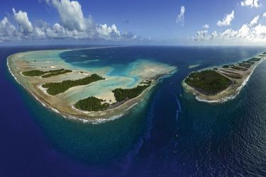 Situé dans l’archipel des Tuamotu, l’atoll de Fakarava est classé réserve de biosphère par l’Unesco. Au milieu, la passe sud où tout va se jouer : son courant modéré en fait un terrain idéal de ponte… et de chasse.