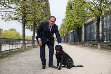 François Hollande avec Philae dans le jardin des Tuileries, en face de ses nouveaux bureaux situés rue de Rivoli, le 11 avril 2018.