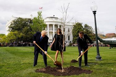 Donald Trump et Emmanuel Macron plantent un chêne dans le jardin de la Maison-blanche. L&#039;arbre vient d&#039;une forêt de l&#039;Aisne où sont tombés des milliers de Marines américains durant la Première guerre mondiale.