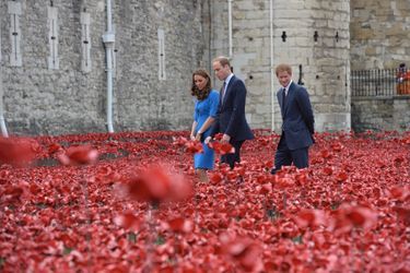 Kate, William et Harry visitent l&#039;installation &quot;Blood Swept Lands and Seas of Red&quot; à la Tour de Londres, commémorant le début de la Grande Guerre, le 5 août 2014.