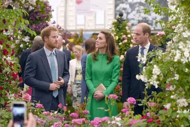 Kate, William et Harry au Chelsea Flower Show, le 23 mai 2016