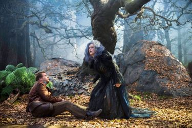 "Into The Woods", 2015