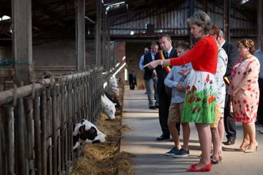 La reine des Belges Mathilde dans une ferme à Maillen, le 13 juin 2017