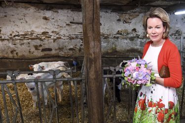 La reine des Belges Mathilde dans une ferme à Maillen, le 13 juin 2017