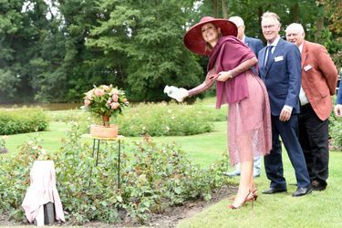 La reine Maxima des Pays-Bas baptise une rose au Winschoten Rosarium, le 13 juin 2017