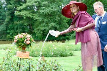 La reine Maxima des Pays-Bas baptise une nouvelle rose à Winschoten, le 13 juin 2017