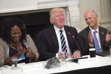 Donald Trump à la Maison Blanche, le 8 juin 2017.