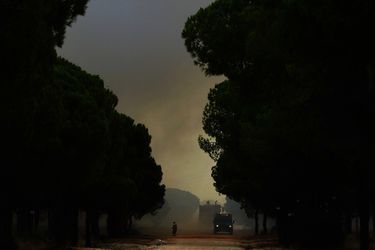L'incendie, qui s'était déclaré samedi à Moguer "est entré dans les limites de l'espace naturel de Doñana" dimanche