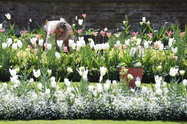 Le Jardin blanc en mémoire de Lady Diana à Londres en avril 2017