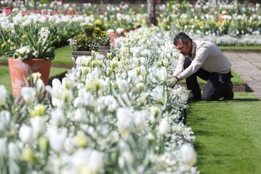 Le Jardin blanc en mémoire de Lady Di à Londres en avril 2017