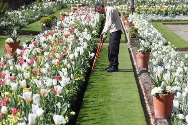 Le Jardin blanc en mémoire de Lady Diana à Kensington Palace à Londres en avril 2017