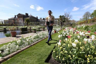 Le Jardin blanc en mémoire de Lady Diana à Kensington Palace à Londres en avril 2017