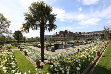 Le Jardin blanc en mémoire de Lady Diana a été créé à la place du Sunken Garden de Kensington Palace à Londres. Ici en avril 2017