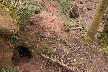 On peut facilement passer à côté de l'entrée de la caverne semblable à un terrier de lapin. 