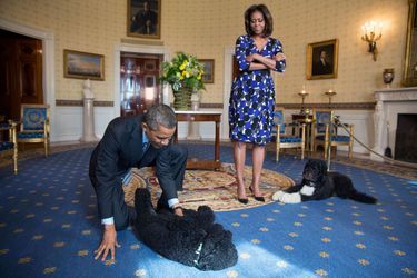 Barack et Michelle Obama avec leurs chiens Bo et Sunny à la Maison Blanche, le 5 novembre 2013.