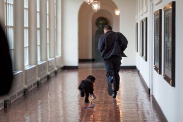 Barack Obama court dans un couloir de la Maison Blanche avec son chien Bo, le 15 mars 2009.