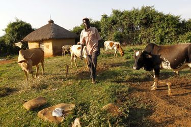 John Okoth, 64 ans, fermier à Kogelo, le village où est né le père de Barack Obama.