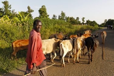 Timothy Adede, 50 ans, fermier à Kogelo, le village où est né le père de Barack Obama.
