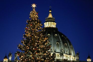 L&#039;arbre de Noël du Vatican, le 9 décembre 2016.