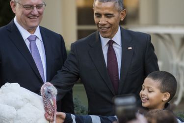 Barack Obama a gracié sa dernière dinde en tant que président, à la Maison Blanche le 23 novembre 2016.